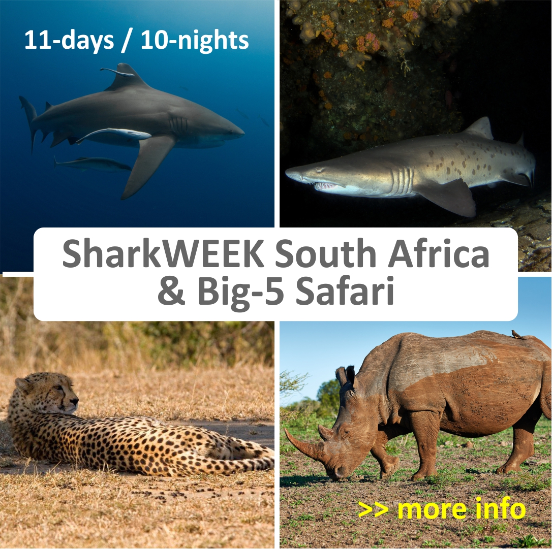 Aliwal Shoal and Protea Banks